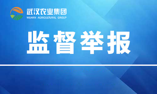k8凯发(中国)天生赢家·一触即发